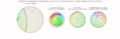 Thumbnail for version as of 09:18, 14 September 2026